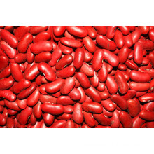 Top Quality Red Kidney Bean (180-200/100G)